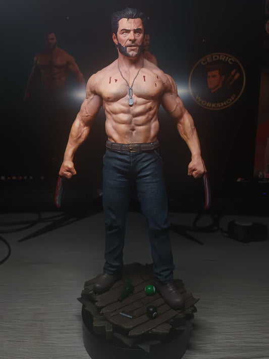 Figurine Wolverine Fan Art - Logan