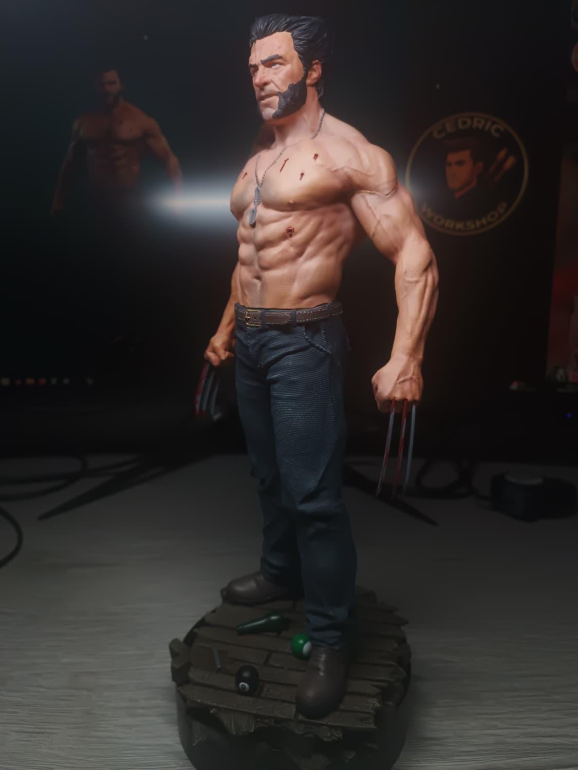 Figurine Wolverine Fan Art - Logan
