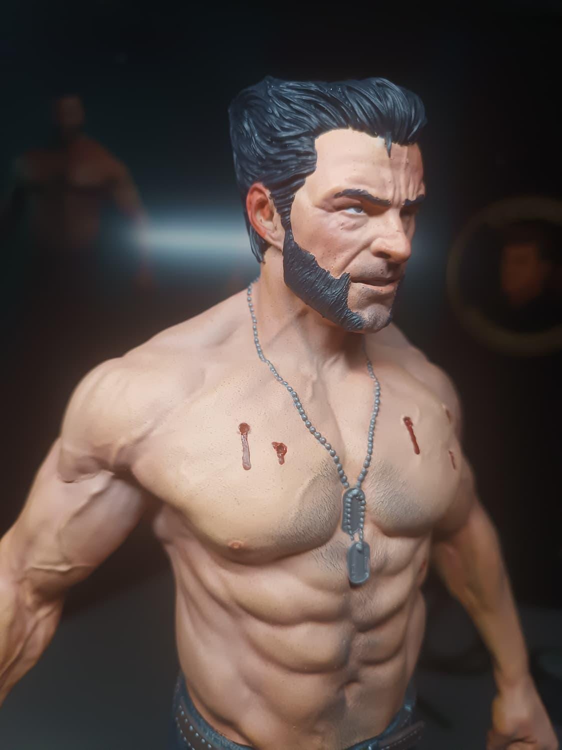 Figurine Wolverine Fan Art - Logan