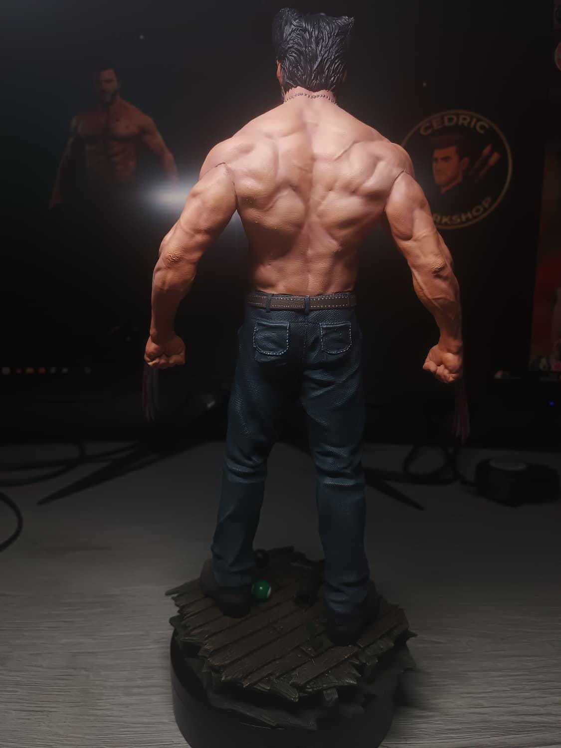 Figurine Wolverine Fan Art - Logan