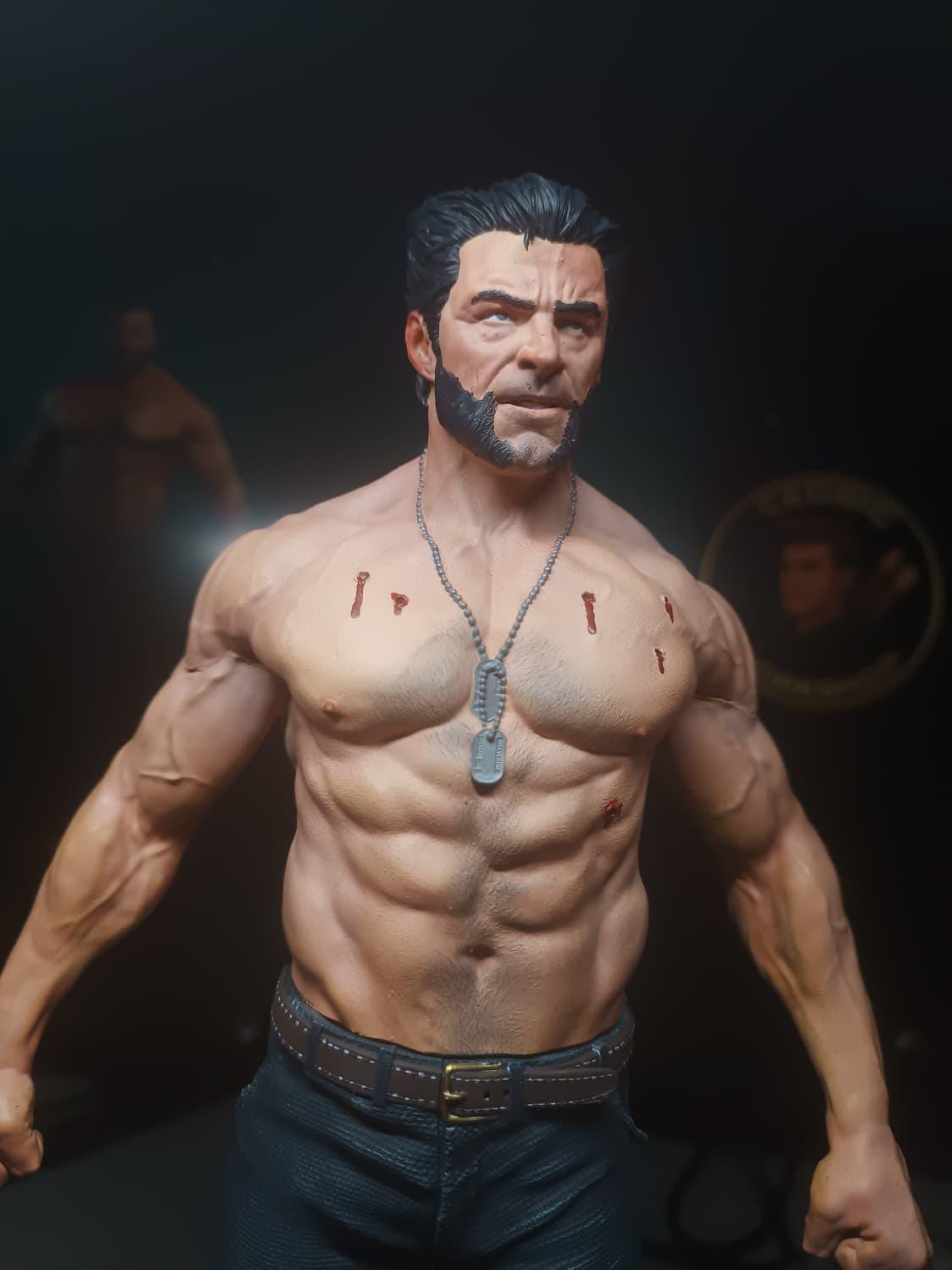 Figurine Wolverine Fan Art - Logan