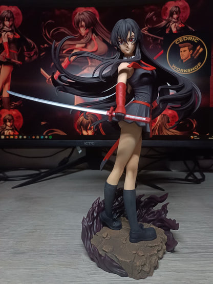 Figurine Akame Fan Art - Akame ga Kill!