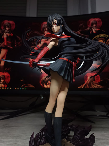 Figurine Akame Fan Art - Akame ga Kill!