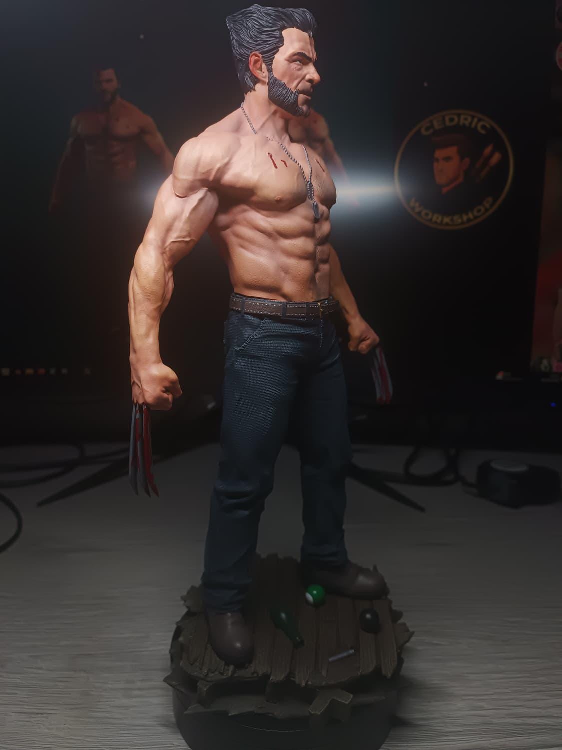 Figurine Wolverine Fan Art - Logan