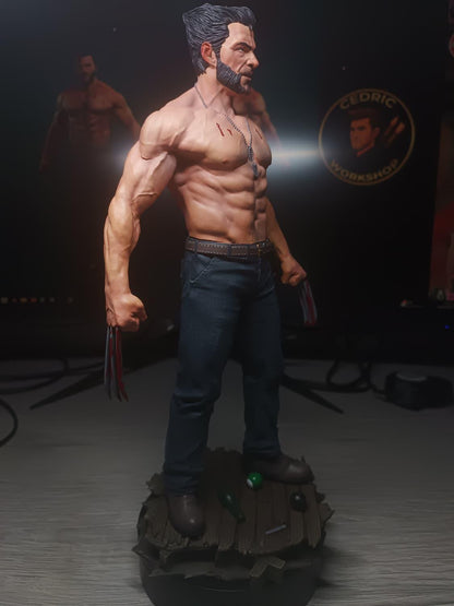 Figurine Wolverine Fan Art - Logan